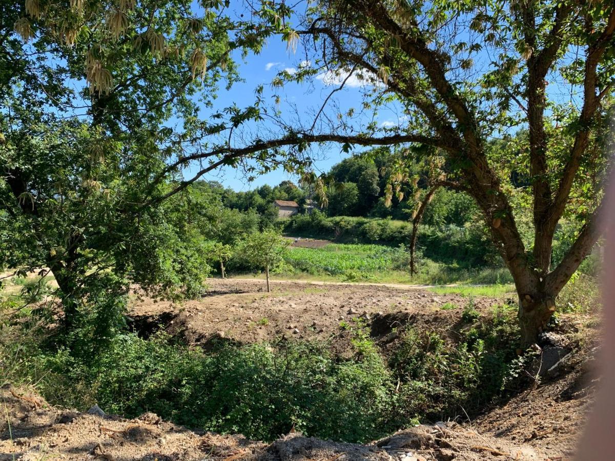 Quinta De Santa Ana, Em Vizela Apartment Infias ภายนอก รูปภาพ